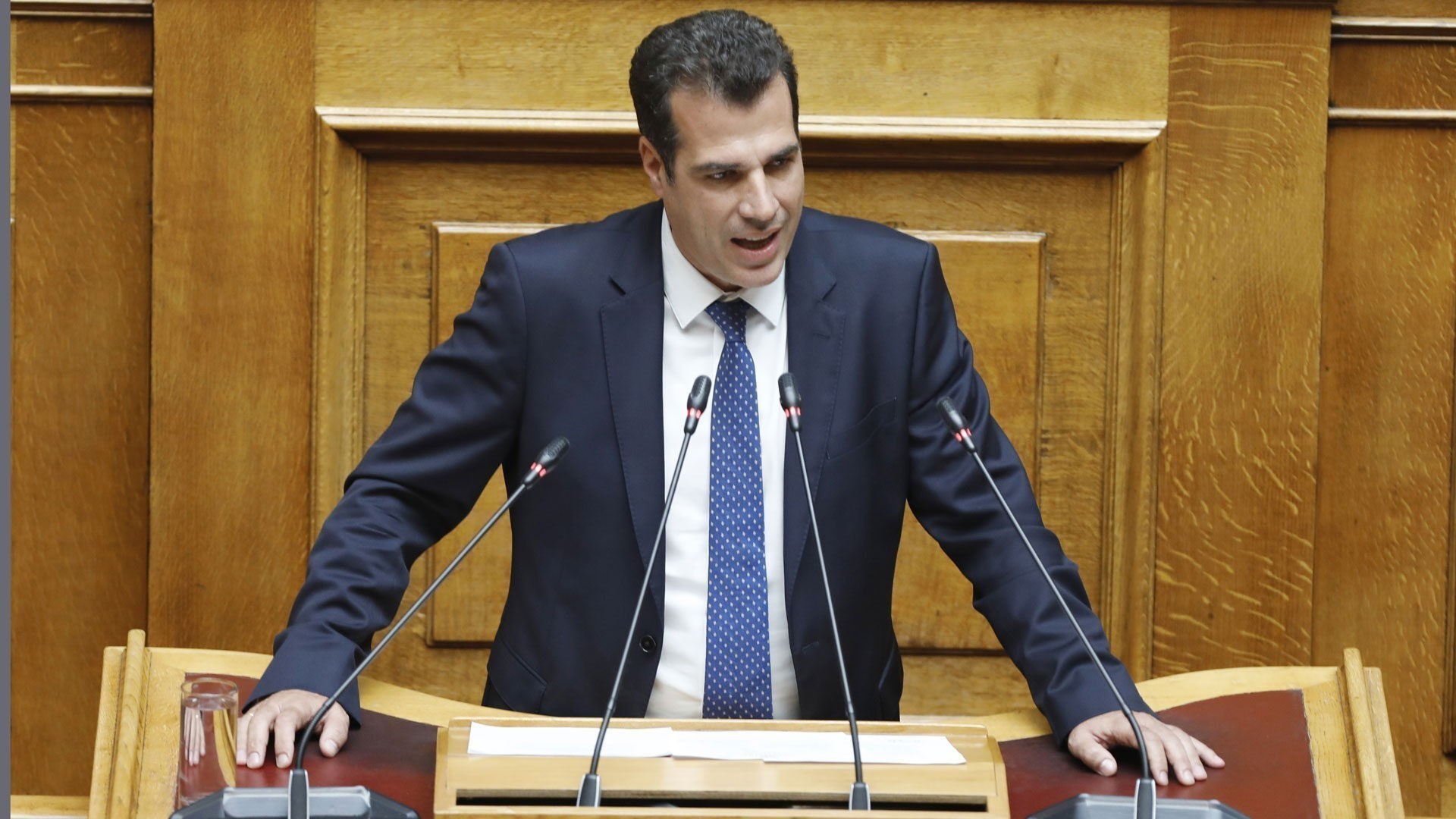 Πλεύρης: Έχουν μειωθεί οι εθνικότητες και τα άτομα που δεν δικαιολογούν άσυλο