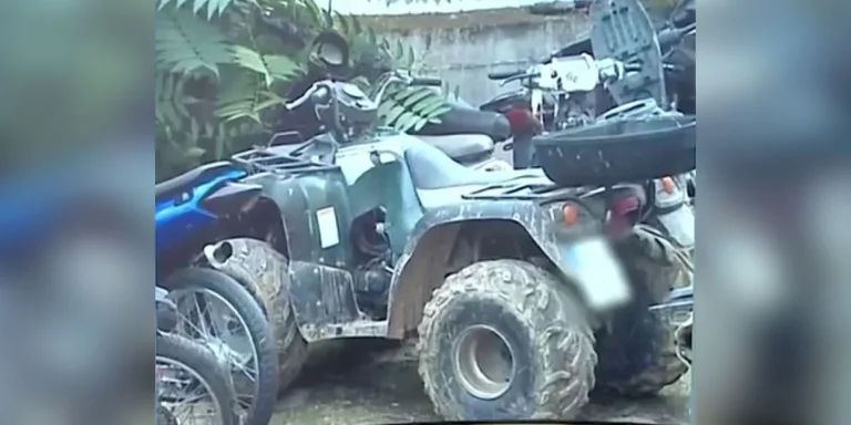 Τραγωδία στην Αχαΐα: «Κρατούσα το παιδί μπροστά στη γουρούνα και πέσαμε» – Η ομολογία του θείου