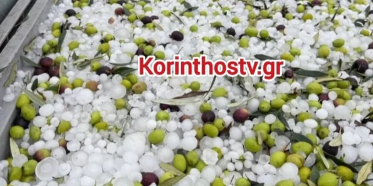 Χαλαζόπτωση στην Κορινθία: Μεγάλες καταστροφές σε καλλιέργειες