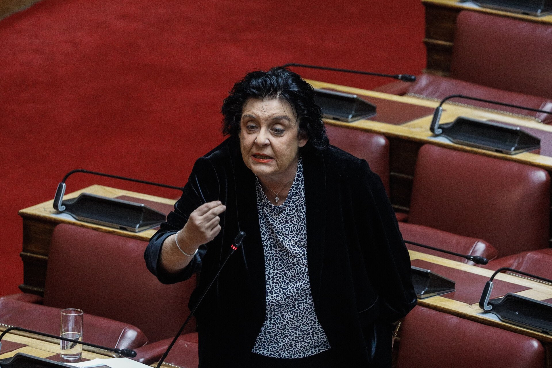 Αιχμές Κανέλλη για Κωνσταντοπούλου: Έρχεται φούσκα στο επίπεδο της Τεχνητής Νοημοσύνης