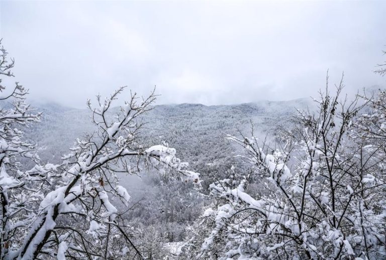 Σε εξέλιξη η ψυχρή εισβολή: Οι πρώτες εικόνες με χιονισμένα τοπία