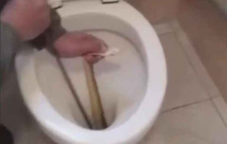 Καστοριά: Τεράστιο φίδι βρέθηκε να «κατοικεί» μέσα σε λεκάνη τουαλέτας