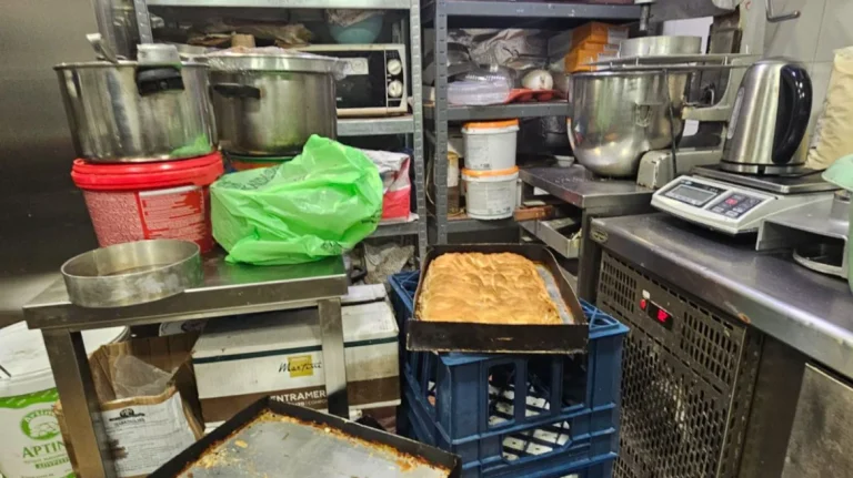 Περιφέρεια Αττικής: Κατασχέθηκαν 12 τόνοι ακατάλληλων προϊόντων