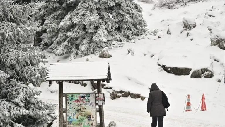 Καιρός: Ποδαρικό στο 2026 με τσουχτερό κρύο και χιόνια