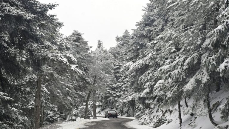 Στα «λευκά» ντύθηκε η Πάρνηθα – Εντυπωσιακές εικόνες από τα πρώτα χιόνια της χρονιάς