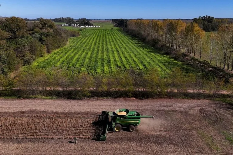 Νέες δεσμεύσεις λογαριασμών 12 αγροτών για παράνομες επιδοτήσεις