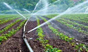 Προσλήψεις 48 ατόμων στον ΓΟΕΒ Πεδιάδων Θεσσαλονίκης – Λαγκαδά