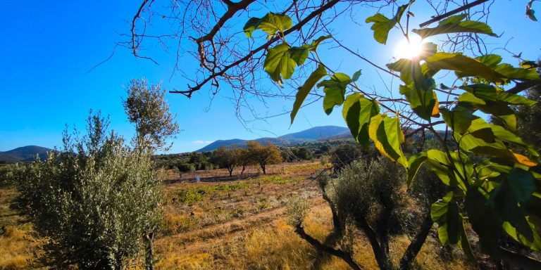 Καιρός: Στους 18 βαθμούς Κελσίου η θερμοκρασία σήμερα