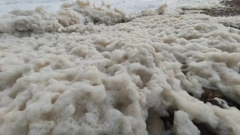 Χανιά: Απόκοσμο σκηνικό από την κακοκαιρία – Παραλία στην Παλαιοχώρα γέμισε αφρούς