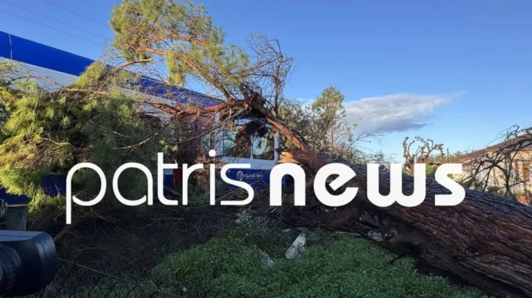 Δέντρο έπεσε σε τρένο που εκτελούσε το δρομολόγιο Πύργος–Κατάκολο – Δείτε εικόνες