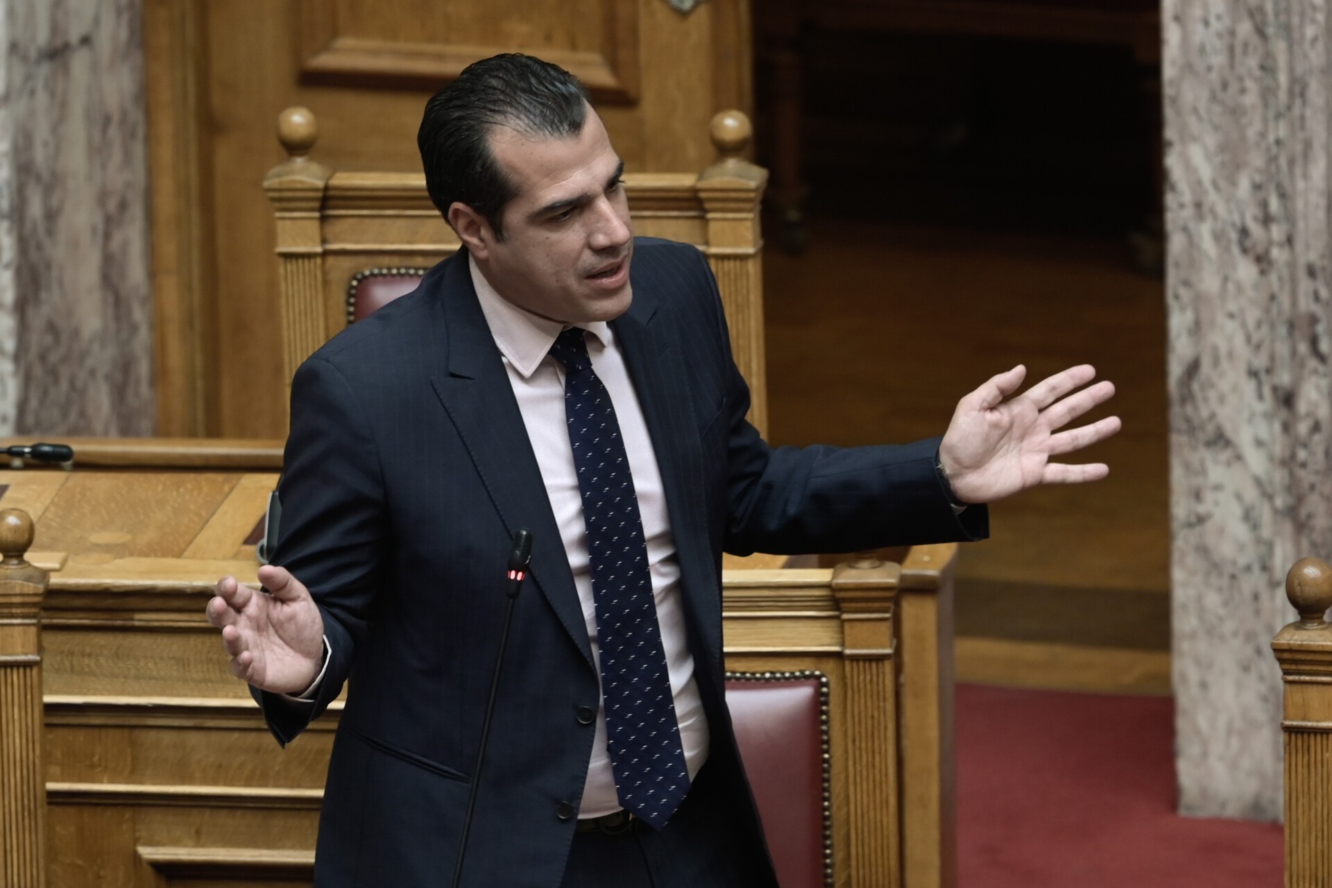 Πλεύρης: Πλήρης διερεύνηση για την απόρριψη ασύλου Τούρκου ακτιβιστή ποντιακής καταγωγής