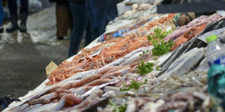 Αύξηση 15% στο χταπόδι, 8% στα καλαμάρια