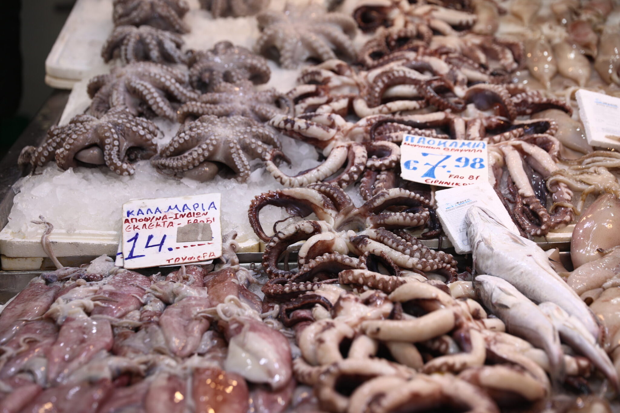 Καθαρά Δευτέρα: Πού κυμαίνονται οι τιμές σε ιχθυοπωλεία 