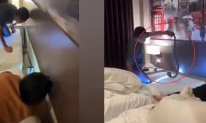 Σοκ στην Ταϊλάνδη: Τουρίστας ξύπνησε με μία… κόμπρα στον λαιμό του – Δείτε βίντεο