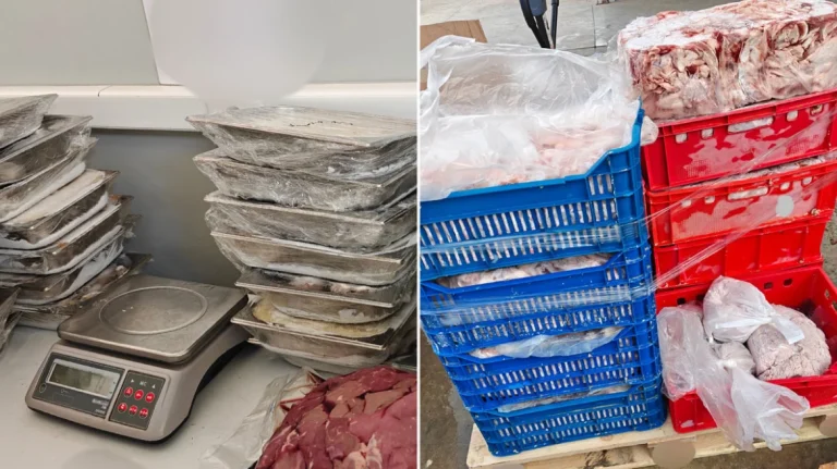  Κατασχέθηκαν 11 τόνοι ακατάλληλων κρεάτων ενόψει Πάσχα – Δείτε εικόνες