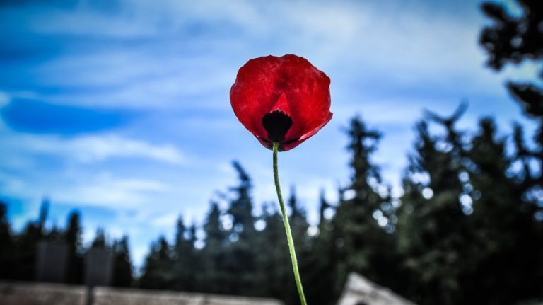 Τι καιρό θα κάνει την Πρωτομαγιά
