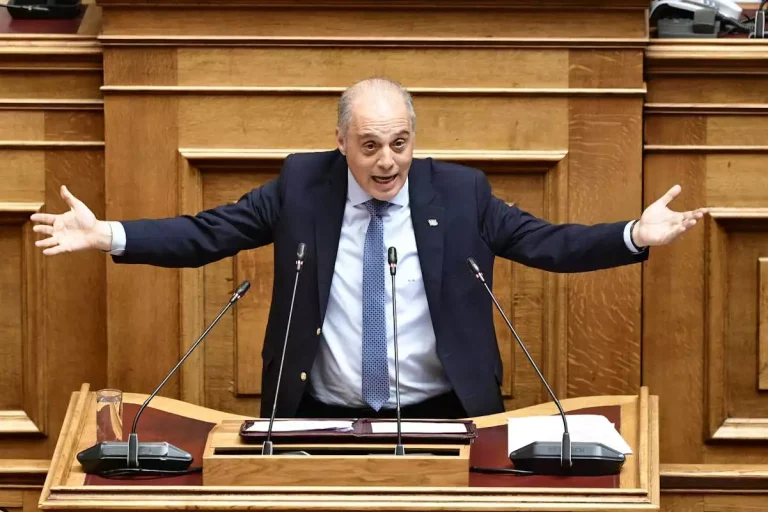 Η δήλωση πόθεν έσχες του Κυριάκου Βελόπουλου για το 2025